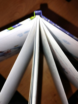 Ирина Муковникова: Новогодняя пропажа. Пушистый детектив