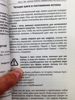 Рами Блект: Три энергии. Забытые каноны здоровья и гармонии