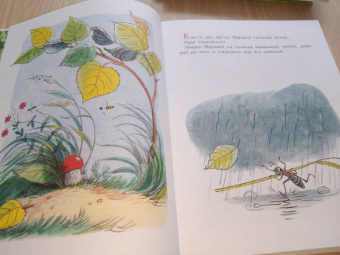 Владимир Сутеев: Сказки для малышей