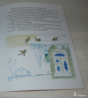 Владимир Зотов: Король и Воришки