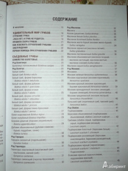 Иван Куреннов: Грибы. Полная иллюстрированная энциклопедия