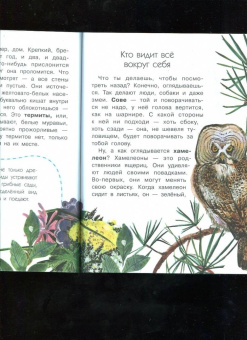 Виталий Танасийчук: Сколько глаз у стрекозы?