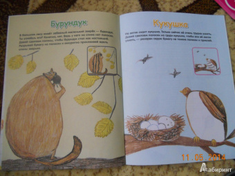 Елена Янушко: Бумажные полоски