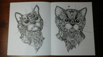 Линда Тейлор: Cats-2. Творческая раскраска замурчательных котиков