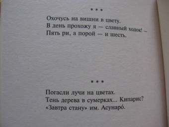 Мацуо Басё: Во тьме безлунной ночи