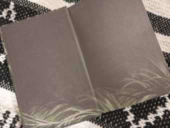 Эллисон Сафт: Особо дикая магия