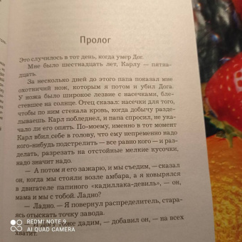 Ю Несбё: Королевство