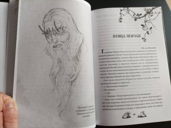 Анастасия Князь: Скиталец. Страшные сказки