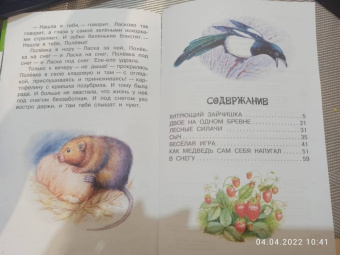 Николай Сладков: Лесные сказки