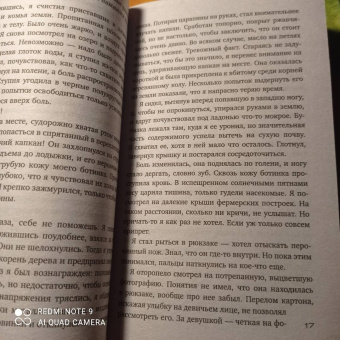 Саймон Бекетт: Множественные ушибы