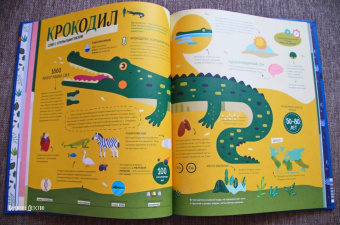 Пинтос, Ианнуззи: Как спит пчела? Удивительные факты о животных и их суперспособностях
