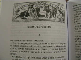 Мариэтта Чудакова: Не для взрослых