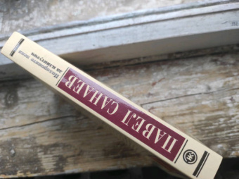 Павел Санаев: Похороните меня за плинтусом