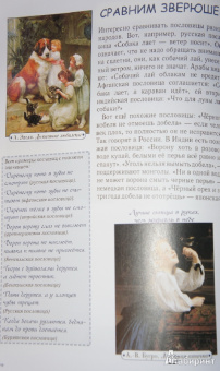 Светлана Лаврова: Город пословиц