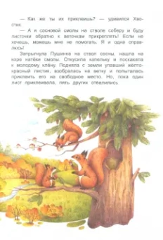 Дороченкова, Кравчук: Лесные секреты