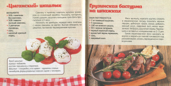 Шашлыки на даче и дома