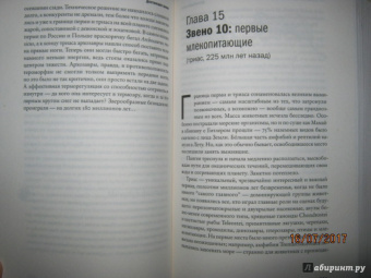 Станислав Дробышевский: Достающее звено. Книга первая. Обезьяны и все-все-все