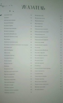 Франсуа Лассерр: Музей живых насекомых