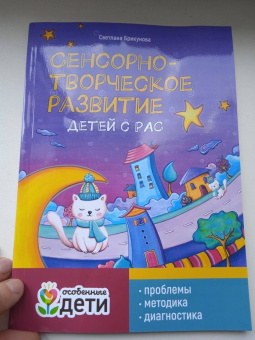 Светлана Брикунова: Сенсорно-творческое развитие детей с РАС. Проблемы, методика, диагностика