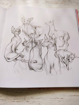 Лоис Барле: Loish. Рисуем шаг за шагом