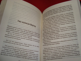 Валентин Катаев: Алмазный мой венец. Уже написан Вертер