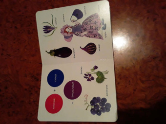 Елена Ивановская: Моя первая книжка о цвете