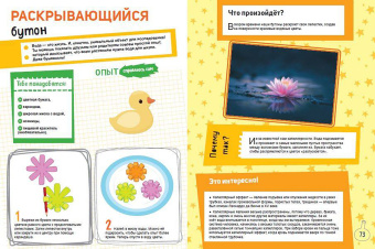 Александр Миронов: Книга опытов и экспериментов для детей и взрослых