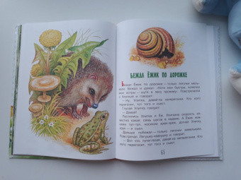 Николай Сладков: Сказки лесной опушки