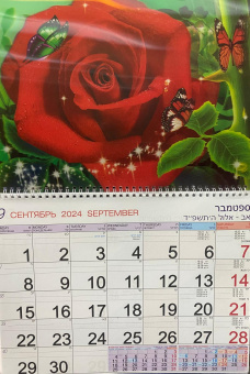 Календарь Стерео на 2025-2026 год: Роза