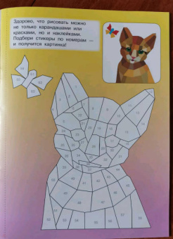 Котята и кошки