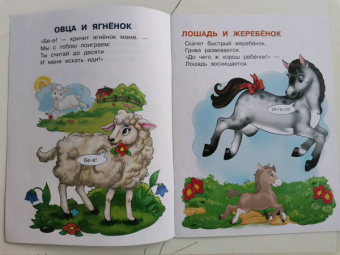 Ирина Шестакова: Домашние животные