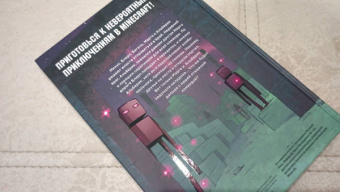 Кьюб Кид: Дневник героя. Добро пожаловать в Край! Книга 4
