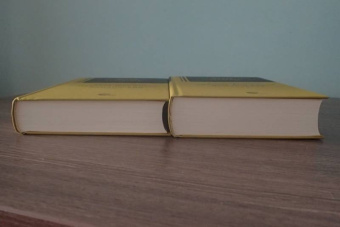 Сервантес Мигель де Сааведра: Хитроумный идальго Дон Кихот Ламанчский. В 2-х томах