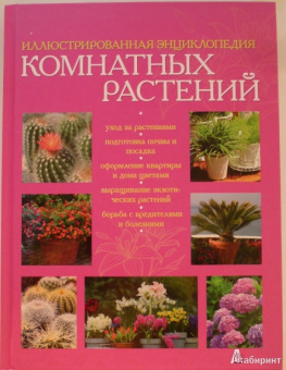 Иллюстрированная энциклопедия комнатных растений