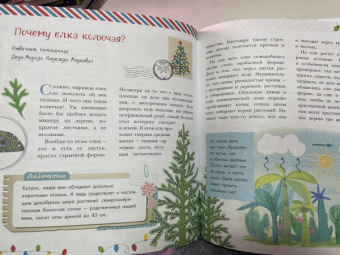 Ампелонская, Бузанова, Дейкун: Хочу знать всё про Новый год