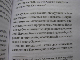 Стивен Протоиерей: Бог одноэтажной вселенной