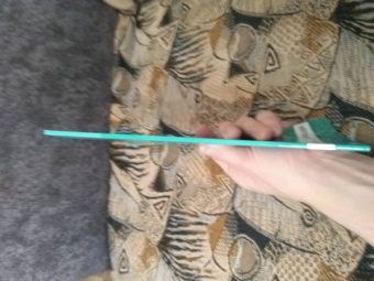 Юлия Ленгина: Фантазии из одноразовой посуды