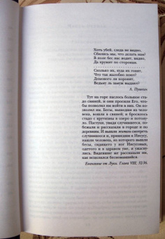 Федор Достоевский: Бесы