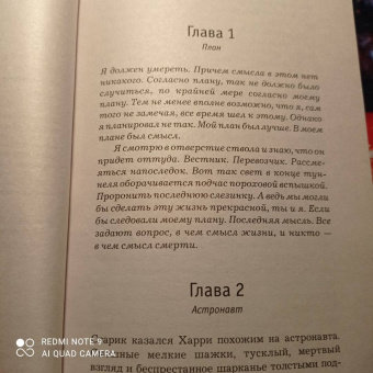 Ю Несбё: Немезида