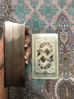 Эпплджон, Айрдейл, Кук: Ostara Tarot. Таро Остары (78 карт и руководство для гадания в подарочном оформлении)