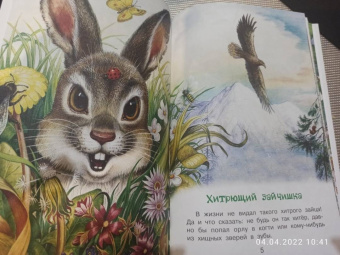 Николай Сладков: Лесные сказки