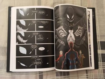 Кари Эндрюс: Человек-Паук. Стража