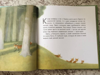 Наталия Чуб: Бетси, не плачь!