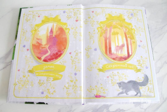 Даша Чекалова: Бракованные принцессы королевства Фьёнс