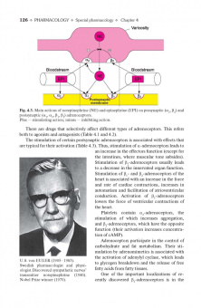 Дмитрий Харкевич: Pharmacology. Textbook