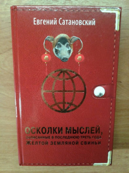 Евгений Сатановский: Осколки мыслей, записанные в последнюю треть года Желтой Земляной Свиньи
