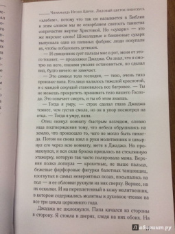 Чимаманда Адичи: Лиловый цветок гибискуса