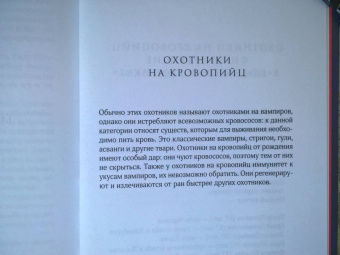 Иосивони, Кнайдль: Полночные хроники. Взор теней