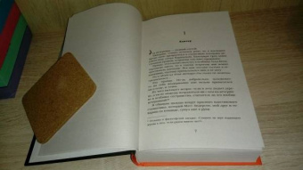 Эль Кеннеди: Игра