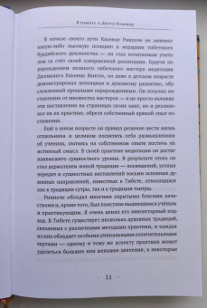 Дилго Кхьенце: Собрание сочинений. Том 1. Путешествие к просветлению. Просветлённая храбрость. Сердце сострадания